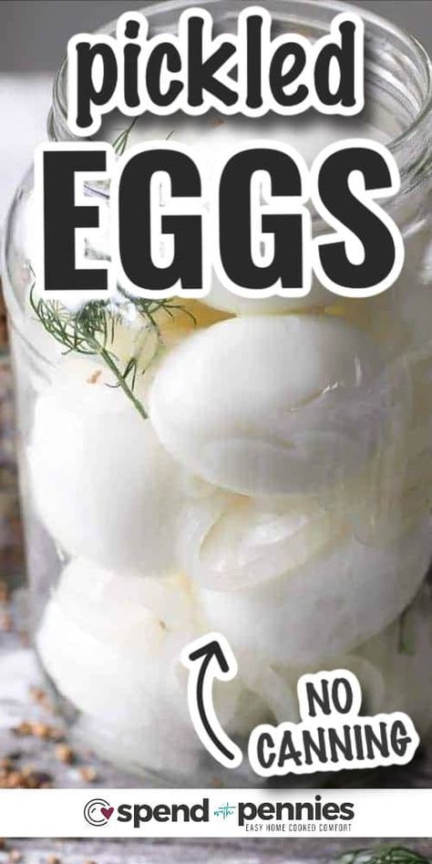 Easy Pickled Eggs (No Canning Required) Easy Pickled Eggs, Best Pickled Eggs, Spicy Pickled Eggs, Pickled Quail Eggs, Pickled Eggs Recipe, Pickled Eggs, Refrigerator Pickles, Sandwich Fillings, Quail Eggs