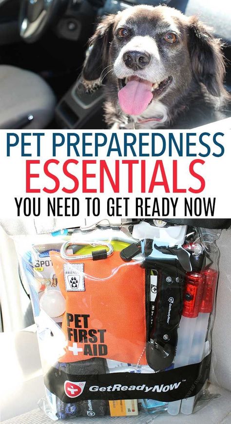 Dog Bag Essentials, Pet Emergency Kit, Road Trip With Dog, Emergency Preparedness Food, Emergency Prepardness, Emergency Preparedness Kit, Emergency Bag, Emergency Preparation, Apocalypse Survival