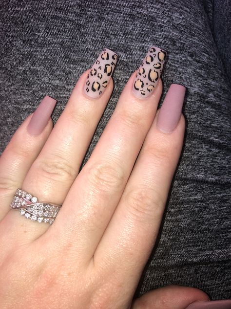 Nails With Cheetah Print, Cheetah Print Nails, Animal Print Nails Art, Leopard Print Nails, Print Nails, Leopard Nails, Animal Print Nails, Ballerina Nails, Nails Pink