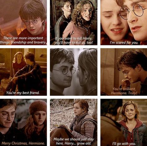 Harmione: a Harry and Hermione love story. - The start of something - Wattpad Harmony Harry Potter, Memes About Relationships, Citate Harry Potter, Harry Hermione, Harry And Hermione, Harry Potter Hermione Granger, Buku Harry Potter, About Relationships, Harry James Potter