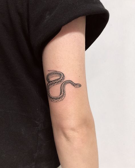 Sam Mancino on Instagram: “Summer solstice / sister garter snake & mini eagle from yesterday🐍🦅thank you Andrea and Amanda 💫 . . . . #gartersnake #miamitattooartist…” Gardner Snake Tattoo, Garder Snake Tattoo, Gardener Snake Tattoo, Garden Snake Tattoo, Garter Snake Tattoo, Patchwork Sleeves, Rooster Tattoo, Florida Tattoos, Garter Snake