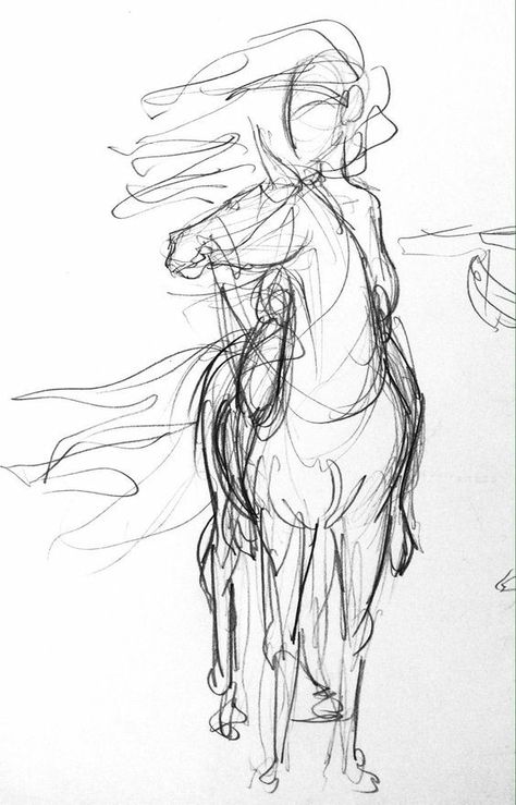 Loose Sketches, Horse Sketches, Horse Art Drawing, Horse Sketch, Horse Drawing, Horse Drawings, Equine Art, Arte Sketchbook, Beautiful Animals