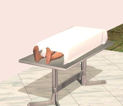 Sims 4 Morgue, Sims Stories, Sims 2 Hair, Stainless Steel Table, Sims Houses, Sims 2 Cc, The Sims 2, Sims House, Sims 2