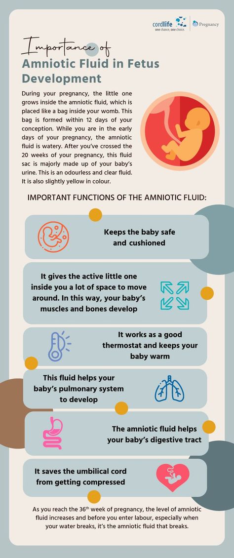 Amniotic Fluid Embolism, Anatomy 101, Pregnancy Facts, Ultrasound Technician, Student Midwife, Nursing Study Guide, Amniotic Fluid, Synovial Fluid, Science Notes