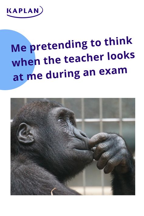 Me pretending to think when the teacher looks at me during an exam... please stop staring 😭 humour | student life | student jokes #StudentProblems #funny Classroom Memes Student, Student Life Funny, Lovly Photo, Study Memes, Exams Memes, Teacher Looks, Studying Funny, Student Jokes, Studying Memes