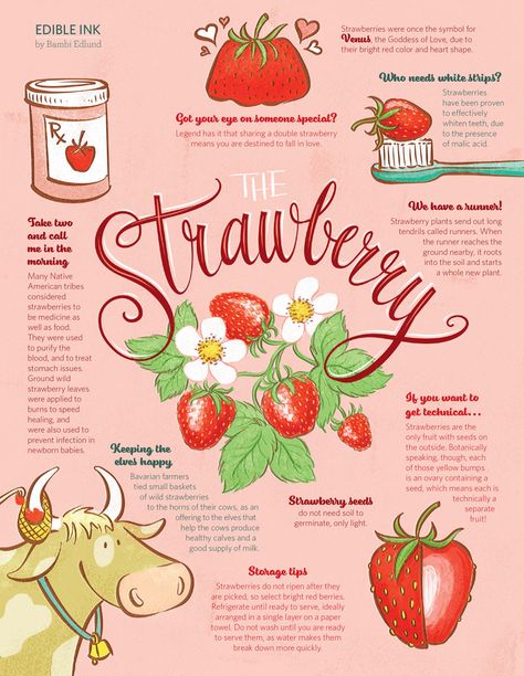 Strawberry Facts, Infographic Examples, Infographic Inspiration, Presentation Design Layout, Food Infographic, Infographic Design Layout, Whiten Teeth, Graphic Design Infographic, Infographic Poster