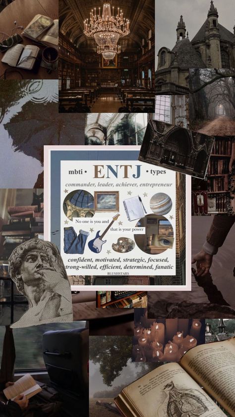 what i think ENTJ aesthetic is from an INTJ #personality #personalaesthetic #personalstylist #aestheticboard #aestheticmoodboard #aesthetics #aesthetic #mbtiaesthetic #mbti #entj #intj #darkacadameia Entj Aesthetic, Mbti Entj, Entj Women, Dark Academia Journal, Intj Characters, Entj Personality, Energy Facts, Intj T, Intj Personality