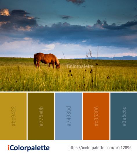 2505 Field Color Palette ideas in 2022 | iColorpalette Wildlife Color Palette, Color Palette Ideas, Palette Ideas, Ecosystem, Color Card, Color Palette, Photoshop, Color, Art