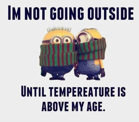 Enjoy our top 25 cute cold weather quotes as the temperature drops outside! Minions Images, Minions Humor, Minions Love, Minion Quotes, Funny Minion Quotes, Minions Quotes, Minions Funny, E Card, Bones Funny