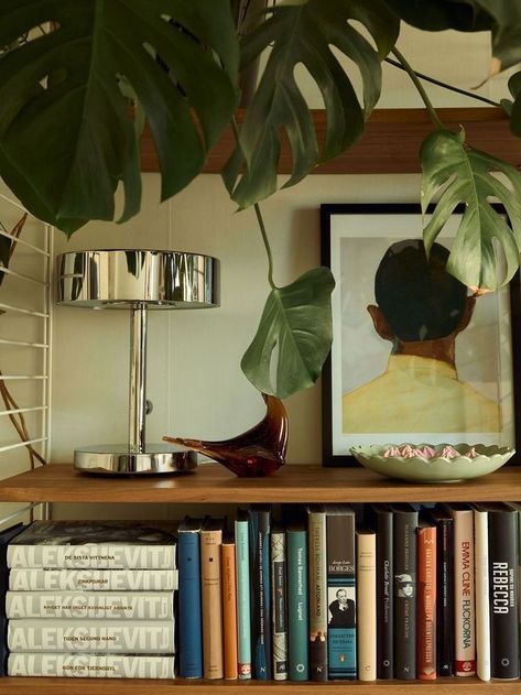 Dark Academia Aesthetic House, House Plant Shelf, Aesthetic Shelf, Mid Century Modern Plants, Deco Retro, Modernist Design, Future Apartment, Dream Apartment, My Apartment