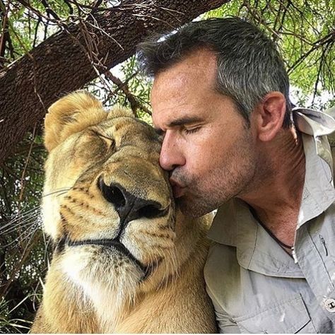 Save lions. Lion Sanctuary (@lionsanctuary) on Instagram: “Caption this | Photo by @lionwhisperersa ✌ Lions, the true kings Be sure to follow us…” Lion Whisperer, Two Lions, Kevin Richardson, Lion And Lioness, Lion Love, Caption This, Animals Friendship, Wild Creatures, Copyright Infringement