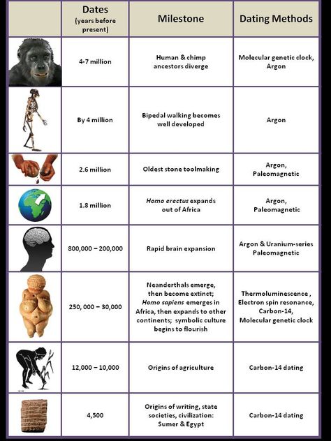 Although apes and primates are only present in this chart from 4-7 million years ago, it's shown in present times that apes and other primates have adopted the use of modern tool making. Could've evolved from specific bipeds.     BA. Human Fossils, Homo Habilis, Early Humans, Human Evolution, Educational Worksheets, History Channel, Tracing Worksheets, Worksheets For Kids, Anthropology