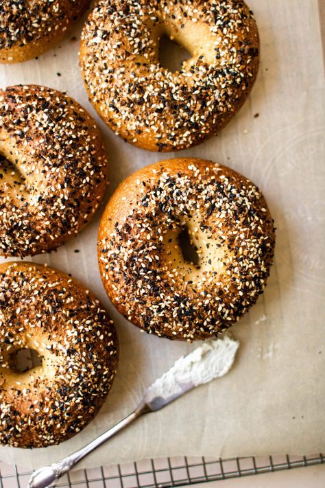 New York Style Bagel Recipe | How to make the perfect bagel Best Bread Recipes, New York Style Bagels, New York Bagels, Ny Bagel, No Bread Diet, New York Bagel, Best Bread, Best Bread Recipe, Ny Style