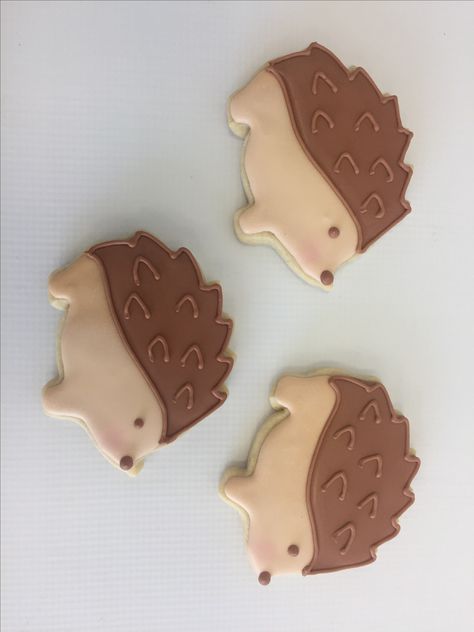 Hedgehog cookies! Hedgehog Cookies Royal Icing, Hedgehog Cookies Decorated, Hedgehog Birthday Party, Hedgehog Baby Shower Ideas, Hedgehog Dessert, Hedgehog Treats, Smile Tips, Hedgehog Party, Hedgehog Cookies