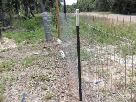 T Post Fence Ideas, T Post Fence, Wire Fence Panels, Hog Wire Fence, Diy Dog Fence, Fence Planning, Modern Backyard Design, Dog Backyard, Diy Backyard Fence