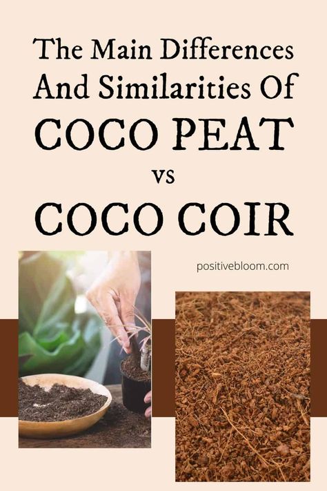 The Main Differences And Similarities Of Coco Peat vs Coco Coir Coco Peat, Coco Coir, Gardening 101, Garden Soil, Pros And Cons, Gardening Tips, Soil, Maine, Improve Yourself