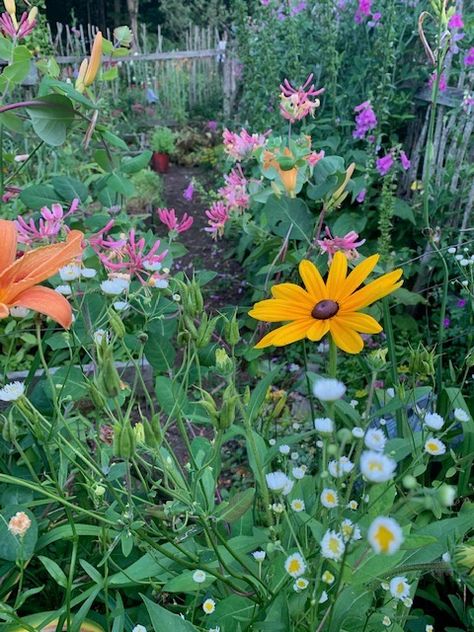 Vermont Garden, Zinnia Elegans, Best Perennials, Small Greenhouse, Fine Gardening, Lake Cottage, Flower Landscape, Flower Gardens, Garden Photography