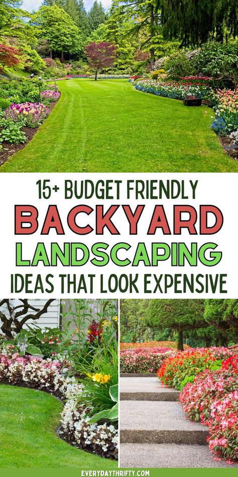 Want a charming yard without the expense? This blog post shares budget-friendly backyard landscaping ideas that add style to your space. From DIY pathways to cozy lighting and garden accents, these backyard landscaping ideas are ideal for small yards or anyone wanting a simple, stylish backyard makeover. Enjoy a cozy outdoor area without overspending! Expensive Backyards, Cheap Renovations, Diy Pathway, Tall Ornamental Grasses, Cottage Backyard, Cheap Landscaping Ideas, Cozy Lighting, Landscaping Ideas On A Budget, Small Yards