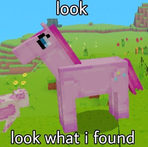 Minecraft Meme, Mlp Funny, Mlp Memes, My Lil Pony, Rawr Xd, My Little Pony Characters, My Little Pony Drawing, Mlp Pony, My Little Pony Pictures