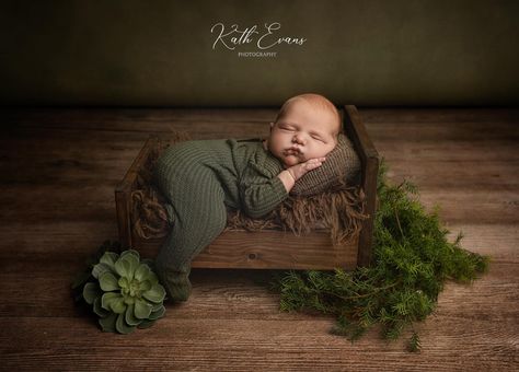 Photography For Newborns, Newborn Shoot Props, Woodland Theme Newborn Photoshoot, Woodsy Newborn Photos, Safari Newborn Photography, Creative Newborn Photos, Newborn Photography Boy With Family, Babyboy Photoshoot Ideas Newborn, Newborn Photography Ideas Studio