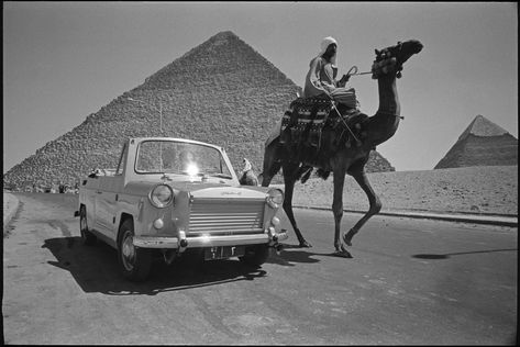 Egypt 90s, 80s Egypt, Egypt Black And White, Rene Burri, Egypt Film Photography, Vintage Egypt, Cairo Egypt Photographs, Egypt Old Photo, Egypt Cairo