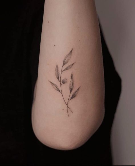 Olive Tree Tattoos, Olive Tattoo, Chemistry Between Two People, Olive Branch Tattoo, Minimalist Tattoo Ideas, Branch Tattoo, Small Tattoos Simple, Tattoo Ideas For Women, Arrow Tattoos