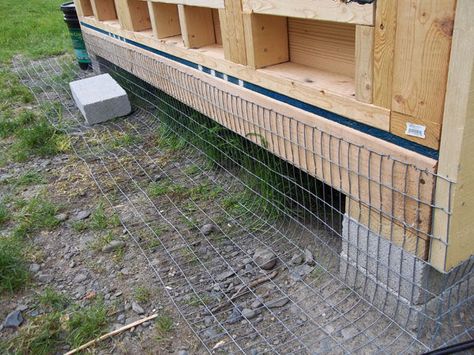 We are looking on building a new chicken coop, and we need to make it predator-proof. We have... Urban Chicken Farming, Laying Chickens, Easy Chicken Coop, Portable Chicken Coop, Backyard Chicken Coop Plans, Chicken Coop Run, Chicken Tractor, Urban Chickens, Chicken Run