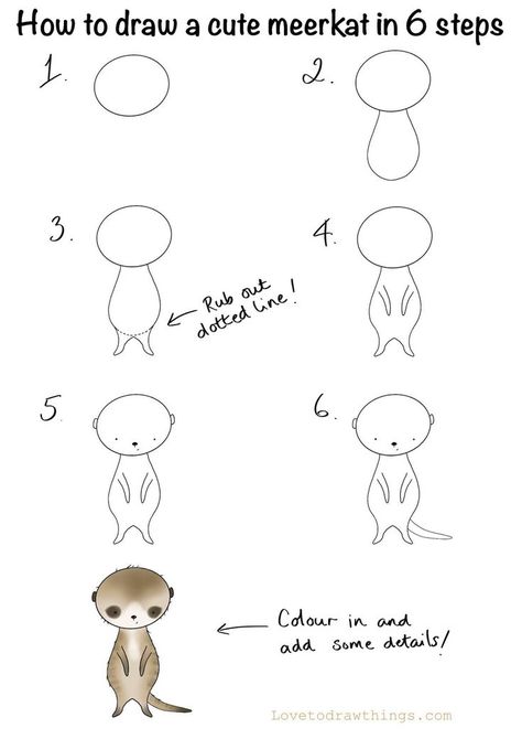 Holly Drawing, Cute Meerkat, Beginners Art, How To Draw Cute, Easy Step By Step Drawing, Directed Drawing, Illustration Doodle, Easy Drawings For Kids, Easy Doodle Art