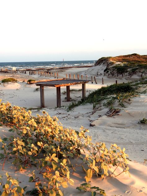 Mustang Island Texas, Corpus Christi Beach, Mustang Island, Texas Parks, South Padre Island, Corpus Christi Tx, Texas Travel, Outdoor Playground, The Plaza