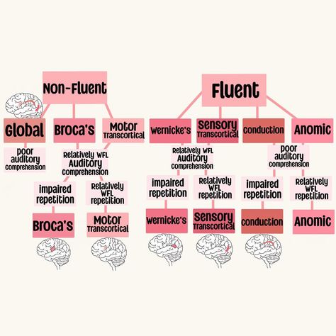 A look at Aphasia 🧠 Study Set Available on my TPT!🩷 . . . . . . . . . . #sIp #speechpathology #sIpgradstudent #sIpgradschool #gradstudent #Speechtherapy #sIpgradlife #speechlanguagepathology #speechlife #slptobe #bilingualslp #cuethespeech #aestheticanatomy #slpaesthetic #lifeisspeechie #fixasha #slpfinds #slpmusthaves #speechfinds #speechie #slpanatomy #anatomy Medical Speech Language Pathology, Pathology Aesthetic, Speech Language Pathology Grad School, Praxis Study, Speech Therapy Tools, Teacher Aesthetic, Speech Pathologist, Slp Activities, School Slp
