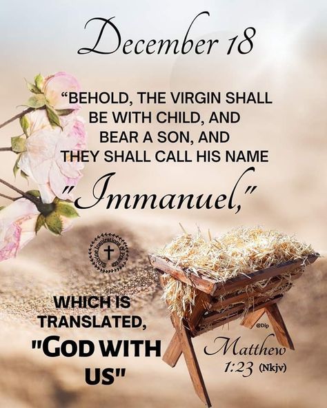 December 23 Quotes, December Prayers, December Blessings, Divine Inspiration And Prayers, December Scriptures, 23 Quotes, Xmas Messages, Daily Spiritual Quotes, Daily Blessings