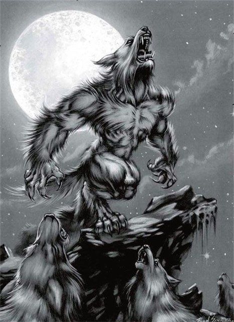 Best Werewolves In Pop Culture Werewolf Tattoo, Werewolf Drawing, Pitbull Tattoo, Werewolf Art, Geniale Tattoos, Vampires And Werewolves, World Of Darkness, Wolf Tattoos, Creatures Of The Night