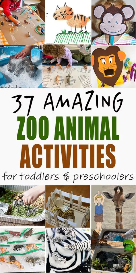 Zoology Activities For Preschool, Dear Zoo Sensory Activities, Eyfs Zoo Activities, Animals Unit Kindergarten, Pre K Animal Activities, Animal Planet Activities For Preschool, Zoo Animals Preschool Activities Art Projects, Zoo Hands On Activities, Zoo Animals Preschool Activities Science