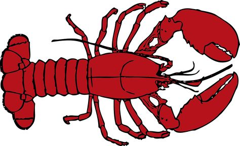 Free vector graphic: Lobster, Red, Crab, Crustacean - Free Image ... Lobster Cartoon, Quilted Bags, Long Board, Clip Art Pictures, Free Clipart Images, Beach Pillows, Wedding Coasters, Board Inspiration, Red Lobster