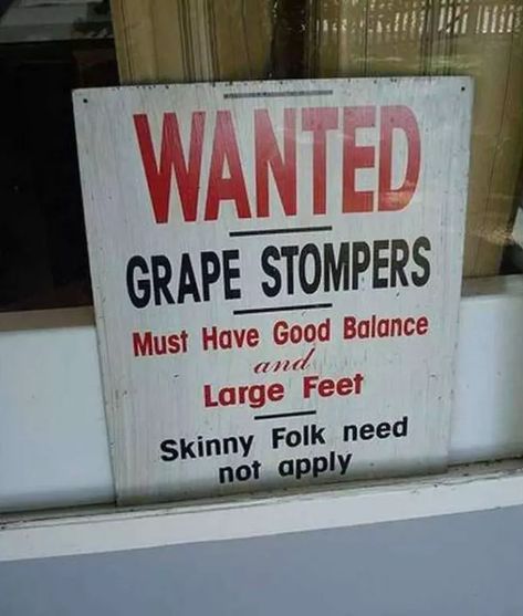 Help Wanted Ads, Funny Wifi Names, Wifi Names, Animal Tumblr, Fool Me Once, Wanted Ads, 9gag Funny, Job Ads, Help Wanted