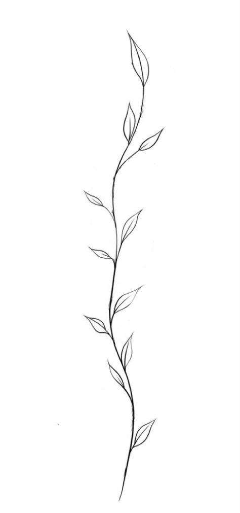 Tattoo Leaves Vine, Simple Leaf Vine Tattoo, Minimal Ivy Tattoo, Vine Sketch Simple, Leaves Vines Drawing, Leaf Chain Tattoo, Thorn Vine Drawing, Wrap Around Vine Tattoos Forearm, Flowers On Vines Drawing