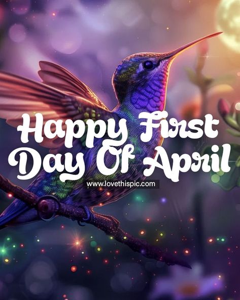 Purple Hummingbird - Happy First Day Of April april hello april april quotes happy april welcome april hello april quotes hello april images first day of april quotes first day of april happy first day of april april wishes Happy First Day Of April, Hello April Quotes, April Pictures, April Hello, April Images, Welcome April, Purple Hummingbird, April Quotes, April April