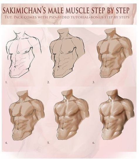 How To Draw Comics, Male Muscle, Draw Comics, Human Anatomy Drawing, Human Anatomy Art, 강아지 그림, Anatomy Sketches, Body Reference Drawing, Digital Painting Tutorials