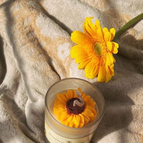 𝐒𝐮𝐜𝐜𝐨𝐮𝐫𝐨𝐬𝐞 𝐜𝐚𝐧𝐝𝐥𝐞𝐬 on Instagram: "Sunflower jar candles Dm to order per price candle - 370/- Set of 2 - 670/- #sunflower #candles #gift #aesthetic #instagram #smallbusiness #candlesofinstagram #soycandles #fyp" Lock Screen Wallpaper Iphone, Gift Aesthetic, Jar Candles, Lock Screen, Screen Wallpaper, Soy Candles, Wallpaper Iphone, Candle Jars, Sunflower