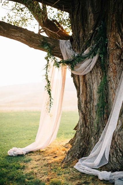 Cheap Wedding Decorations, Wedding Ceremony Ideas, Wedding Boho, Woodland Wedding, Cheap Wedding, Diy Wedding Decorations, Ceremony Decorations, Wedding Arch, Simple Weddings