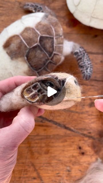 3d Needle Felting Ideas, Needle Felt Turtle, Felted Turtle, Needle Felting Diy Tutorials, Needle Felt Animals, Felt Turtle, Fibre Artist, Felted Toys, Felt Dragon