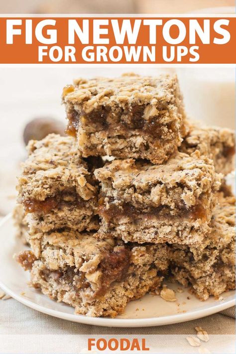 Are you looking for a nutritious sweet treat or a breakfast cookie? Try these healthy, grown-up alternatives to fig newtons. A super easy recipe that is both gluten-free and vegan. Guilt-free bars that are amazing any time of day! Get the recipe now on Foodal. #fignewtons #cookies #foodal Homemade Fig Newtons, Fig Newtons, Fig Bars, Date Bars, Fig Recipes, Crumble Bars, Cookie Bar Recipes, Super Easy Recipes, Breakfast Cookies