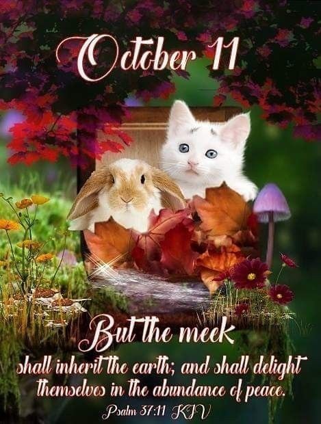 October Images, December Scriptures, October Quotes, Religious Humor, Birthday Prayer, October Calendar, Bible Study For Kids, Hello October, Good Morning God Quotes