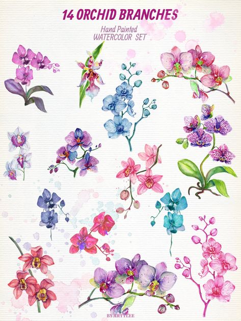 Wild Orchids Watercolor Set by ArtyLee on @creativemarket Watercolor Orchid Tattoo, Orchid Tattoo Design, Purple Orchid Tattoo, Orchids Watercolor, Watercolor Orchids, Orchid Flower Tattoos, Orchid Watercolor, Watercolor Orchid, Wild Orchids