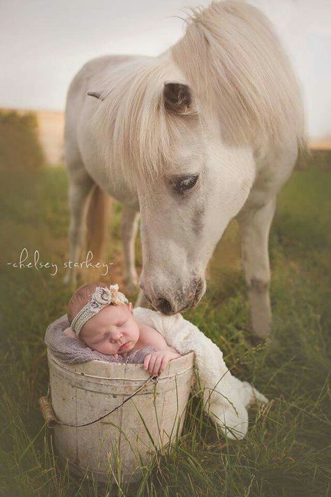 Pony Photoshoot, Photo Bebe, Baby Captions, Pictures With Horses, Bath Photography, Horse Photo, Western Photography, Pic Poses, Kids Studio