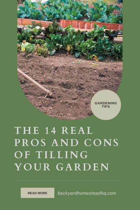 Tools used for tilling can be expensive. Chickens are excellent natural tilling gardeners. Tilling will help kill any visible weeds. Till works better for a quicker building up of any soil. Tilling is useful when the soil needs to be broken down. #gardeningtips #tilledgardenlayout #howtostartanotillgarden #howtotillgarden #whentotillgarden #tillvsnotill #backyardhomesteadhq Prune Fruit, Natural Ecosystem, Clay Soil, Peat Moss, Organic Matter, The Soil, Mulch, Pros And Cons, Fruit Trees