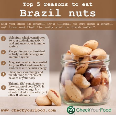 Health benefits of #brazilnuts  #checkyourfood #foodgasm #healthyeating #nutrition #tasty #wellness #yum #vegan Brazil Nuts Benefits, Nuts Health Benefits, Nut Benefits, Food Health Benefits, Healthy Nuts, Brazil Nuts, Healing Food, Food Facts, Healthy Snacks Recipes