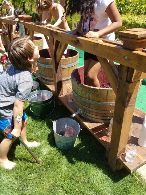 Wine Stomping, Grape Stomping, Grape Festival, Grape Picking, Youth Conference, Wine Vineyards, Homemade Wine, Wine House, Beer Party