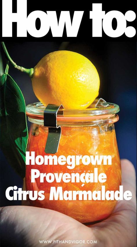 How To Make Matt's Homegrown Provençale Citrus Marmalade Making Marmalade, Orange Marmalade Recipe, Growing Citrus, Easy Recipies, Christmas Jam, Marmalade Recipe, Culinary Lavender, Orange Rind, Orange Marmalade