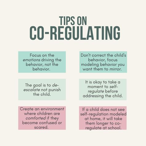 The Regulated Classroom teaches educators on how to co-regulate with their students. Co Regulation, Classroom Etiquette, Organizational Communication, Visual Management, Conscious Discipline, Words To Describe Someone, Slp Resources, Emotional Child, Parent Coaching